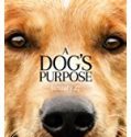 Nonton A Dog’s Purpose 2017 Indonesia Subtitle Poster
