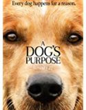 Nonton A Dog’s Purpose 2017 Indonesia Subtitle Poster