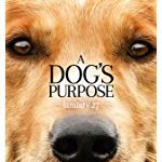 Dog's Purpose kebioskop21