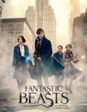 Nonton Fantastic Beasts and Where to Find Them Indonesia Subtitle Poster