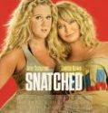 Nonton Snatched 2017 Indonesia Subtitle Poster