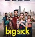 Nonton The Big Sick 2017 Indonesia Subtitle Poster
