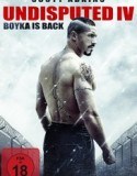 Nonton Boyka Undisputed 4 2016 Indonesia Subtitle Poster