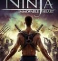 Nonton Ninja Immovable Heart 2014 Indonesia Subtitle Poster