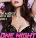 Nonton One Night In Taipei 2015 Indonesia Subtitle Poster