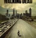 Nonton The Walking Dead Season 1 Indonesia Subtitle Poster
