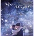 Nonton Drakor While You Were Sleeping Indonesia Subtitle Poster