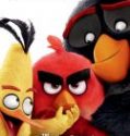 Nonton Angry Birds 2016 Indonesia Subtitle Poster