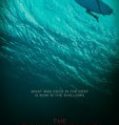 Nonton The Shallows 2016 Indonesia Subtitle Poster