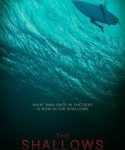 The Shallows 2016 kebioskop21