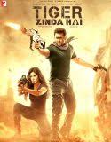 Nonton Tiger Zinda Hai 2017 Indonesia Subtitle Poster