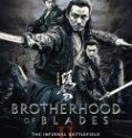 Nonton Brotherhood of Blades 2 The Infernal Battlefield 2017 Indonesia Subtitle Poster