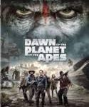 Nonton Movie Dawn of the Planet of the Apes 2014 Kebioskop21