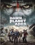 Nonton Dawn of the Planet of the Apes 2014 Indonesia Subtitle Poster