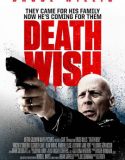 Nonton Death Wish 2018 Indonesia Subtitle Poster