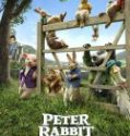 Nonton Peter Rabbit 2018 Indonesia Subtitle Poster