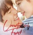 Nonton Drakor Uncontrollably Fond Indonesia Subtitle Poster