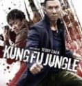 Nonton KungFu Jungle 2014 Indonesia Subtitle Poster