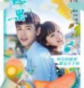 Nonton Secret Fruit 2017 Indonesia Subtitle Poster