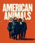 Nonton American Animals 2018 Sub Indo Kebioskop21