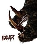 Nonton Boar 2018 Indonesia Subtitle Poster