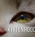 Nonton Kittenhood 2015 Indonesia Subtitle Poster