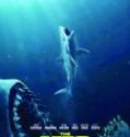 Nonton The Meg 2018 Indonesia Subtitle Poster