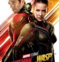 Nonton Ant Man and the Wasp 2018 Indonesia Subtitle Poster