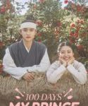 Nonton Drakor 100 Days My Prince Sub Indo Kebioskop21