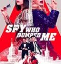 Nonton The Spy Who Dumped Me 2018 Indonesia Subtitle Poster