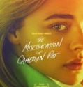 Nonton The Miseducation of Cameron Post 2018 Indonesia Subtitle Poster