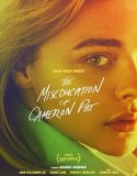 Nonton The Miseducation of Cameron Post 2018 Indonesia Subtitle Poster