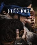 Nonton Bird Box 2018 Sub Indo Kebioskop21