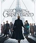 Nonton Fantastic Beasts The Crimes of Grindelwald 2018 Sub Indo Kebioskop21
