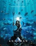 Nonton Film Aquaman 2018 Subtitle Indonesia Poster