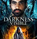 Darkness Visible 2019 Nonton Film Subtitle Indonesia Poster