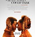 If Beale Street Could Talk 2018 Nonton Film Subtitle Indonesia Poster
