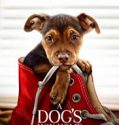 A Dogs Way Home 2019 Nonton Film Subtitle Indonesia Poster