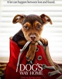 A Dogs Way Home 2019 Nonton Film Subtitle Indonesia Poster