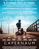 Capernaum 2018 Nonton Film Subtitle Indonesia Poster