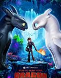 How to Train Your Dragon The Hidden World 2019 Nonton Online Poster