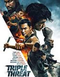 Triple Threat 2019 Nonton Film Subtitle Indonesia Poster