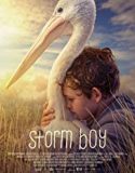 Storm Boy 2019 Nonton Film Subtitle Indonesia Poster