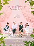The Secret Life of My Secretary 2019 Nonton Drama Subtitle Indonesia Poster