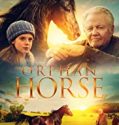 Orphan Horse 2019 Nonton Film Online Subtitle Indonesia Poster