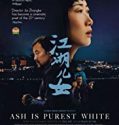 Ash Is Purest White 2018 Nonton Film Online Subtitle Indonesia Poster