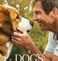 A Dogs Journey 2019 Nonton Film Online Subtitle Indonesia Poster