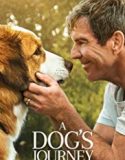 A Dogs Journey 2019 Nonton Film Online Subtitle Indonesia Poster