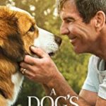 Nonton FIlm Online A Dogs Journey 2019 Sub Indo Kebioskop21