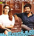 Mr Local 2019 Nonton Film Online Subtitle Indonesia Poster